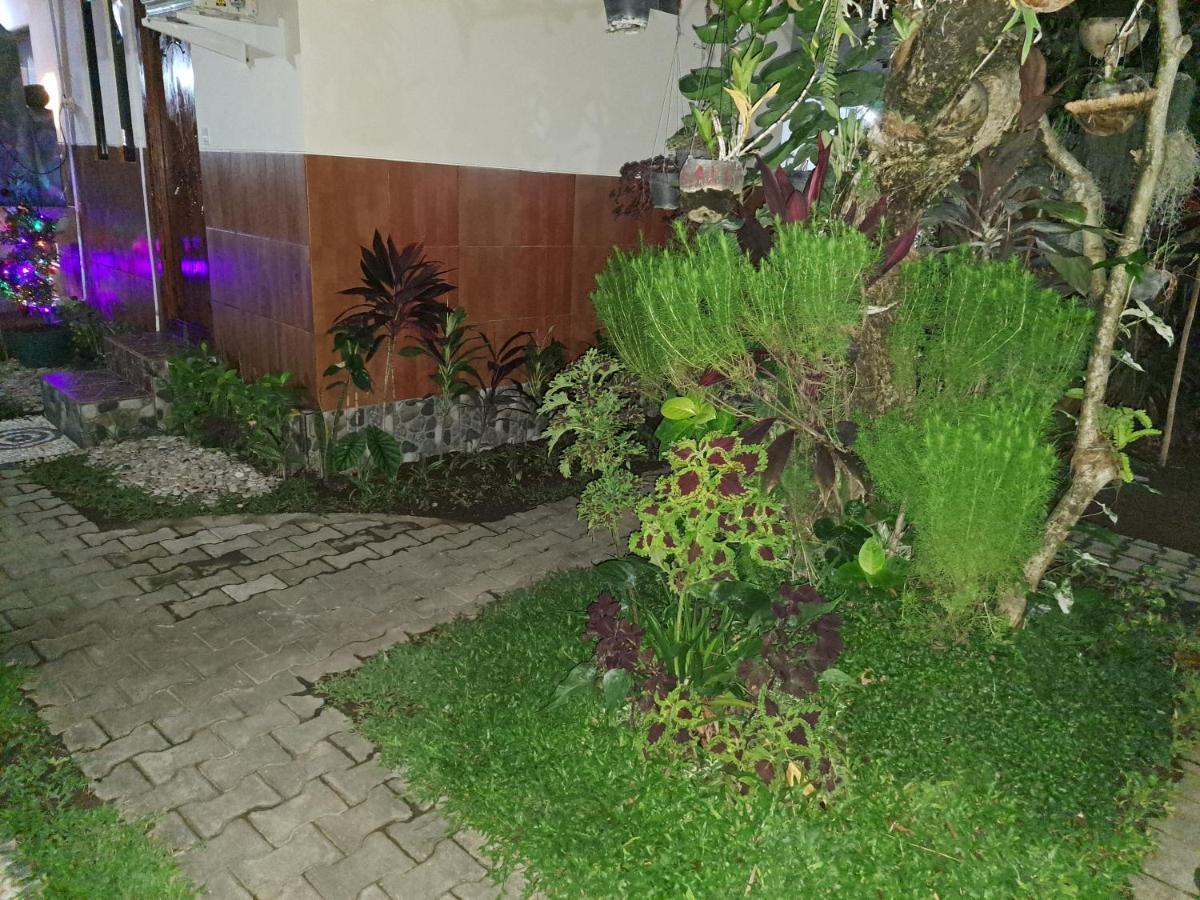 Sanur Ascarya Guest House מראה חיצוני תמונה