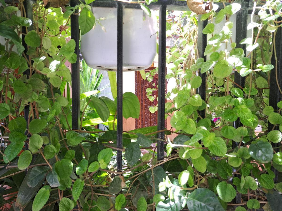 Sanur Ascarya Guest House מראה חיצוני תמונה